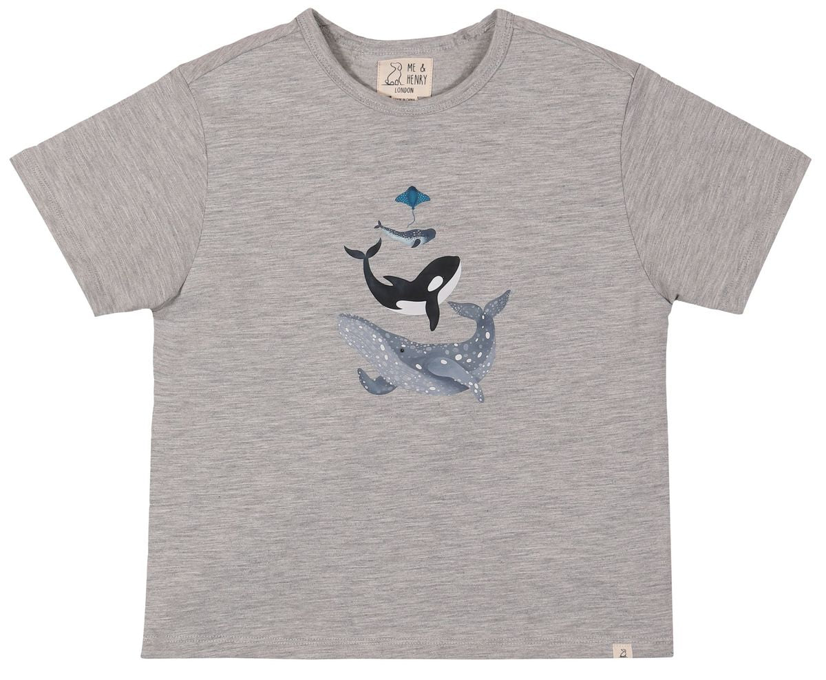 FALMOUTH Whales Printed Tee - Boy - Joy