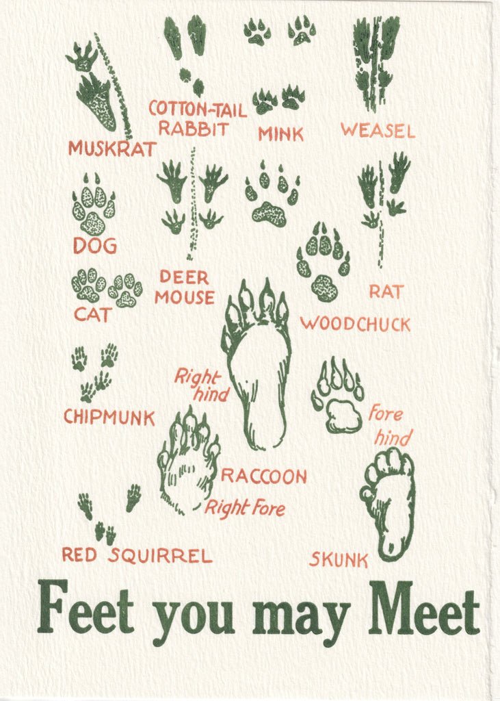 Feet You May Meet Greeting Card - Joy