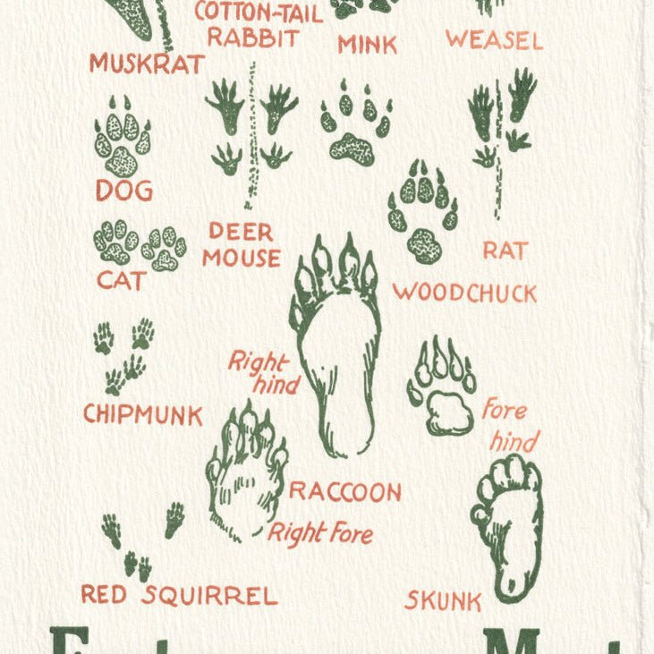 Feet You May Meet Greeting Card - Joy