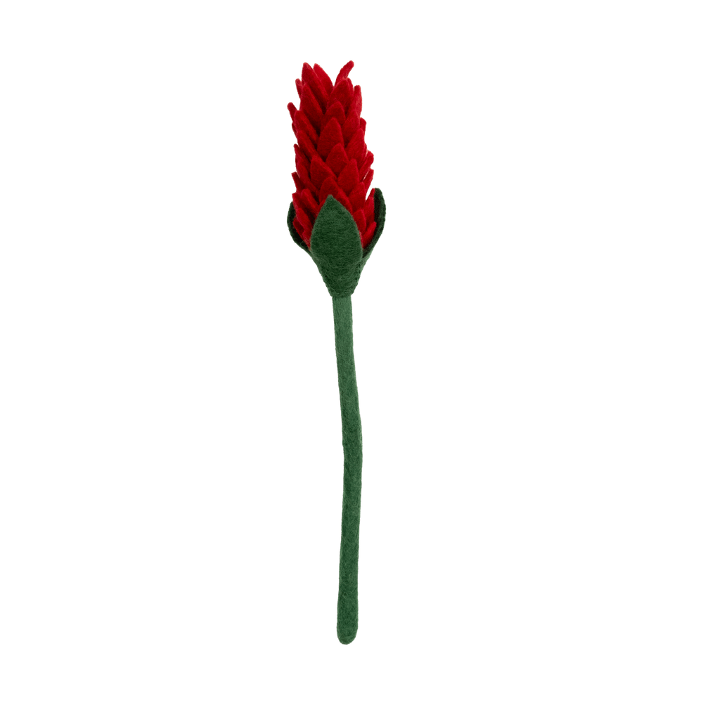 Felt Alpinia Flower: Winter Red - Joy
