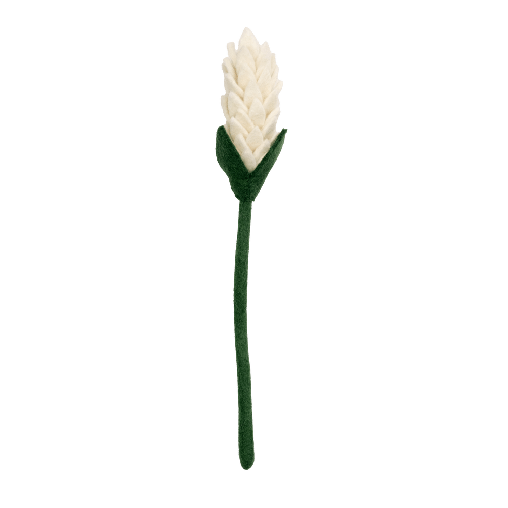 Felt Alpinia Flower: Winter White - Joy