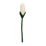Felt Alpinia Flower: Winter White - Joy