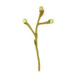 Felt Billy Buttons: Lime - Joy