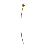 Felt Craspedia Stem: Gold - Joy