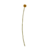 Felt Craspedia Stem: Gold - Joy