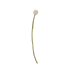 Felt Craspedia Stem: White - Joy