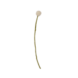 Felt Craspedia Stem: White - Joy