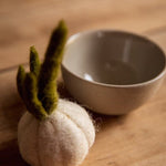 Felt Garlic - Joy