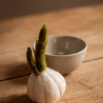 Felt Garlic - Joy