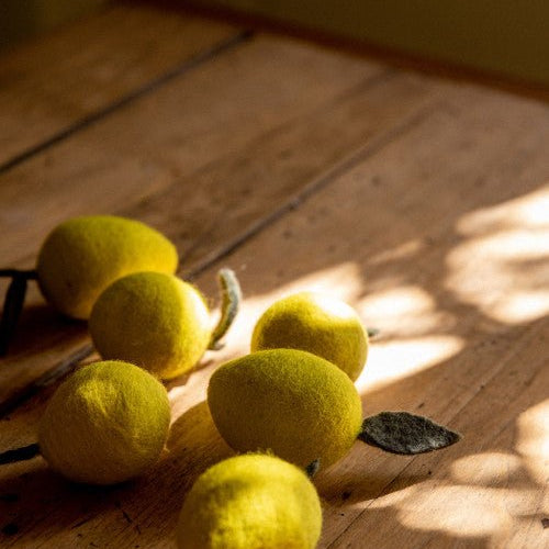 Felt Lemon - Joy
