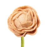 Felt Peony Flowers: Peach - Joy