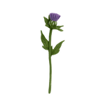 Felt Thistle Stem: Lavender - Joy
