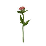 Felt Thistle Stem: Light Pink - Joy