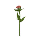 Felt Thistle Stem: Light Pink - Joy
