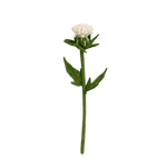 Felt Thistle Stem: White - Joy