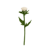 Felt Thistle Stem: White - Joy
