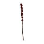 Felt Winterberry Ilex Stem: Burgundy - Joy