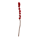 Felt Winterberry Ilex Stem: Red - Joy