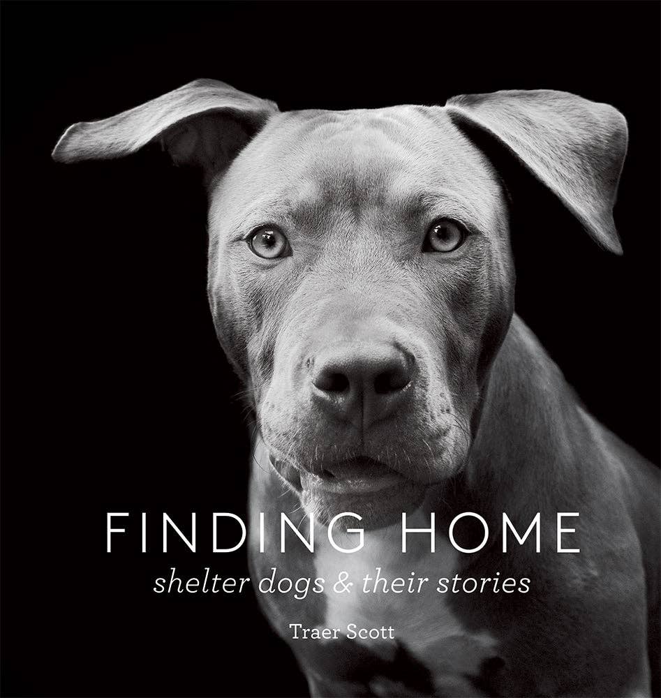 Finding Home - Joy Gift Shoppe