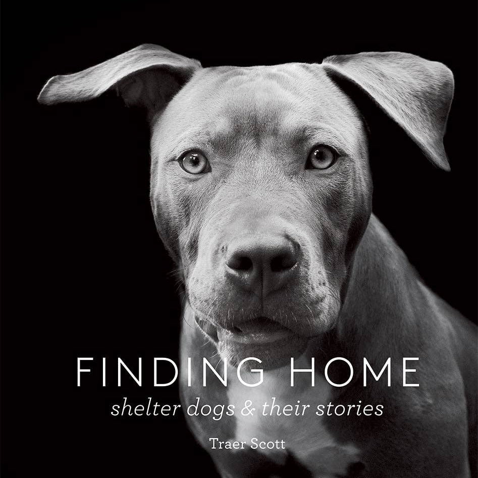 Finding Home - Joy Gift Shoppe