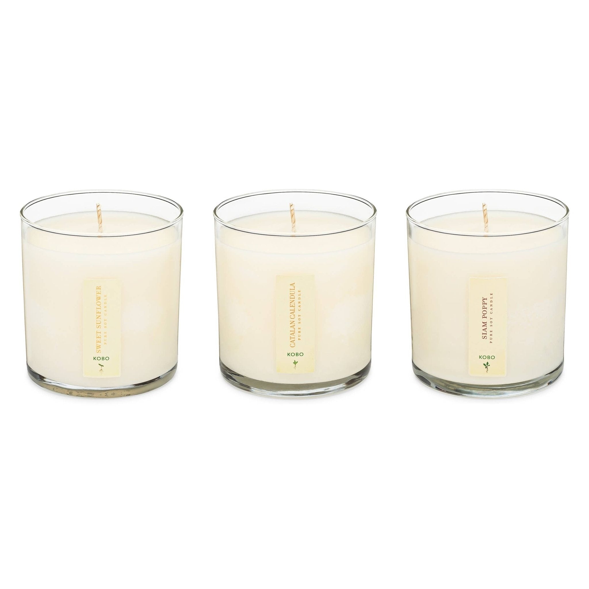 Floral Bouquet - Plant the Box Votive Candle Trio - Joy Gift Shoppe