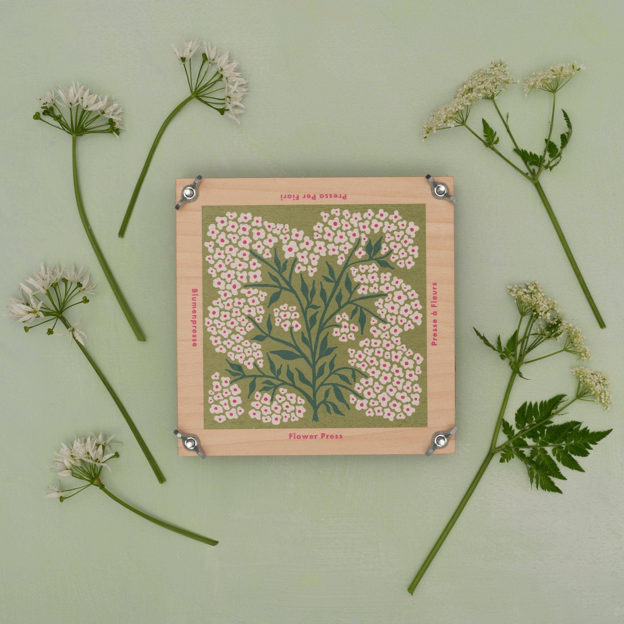 Forget Me Not Flower Press - Joy Gift Shoppe