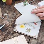 Forget Me Not Flower Press - Joy Gift Shoppe