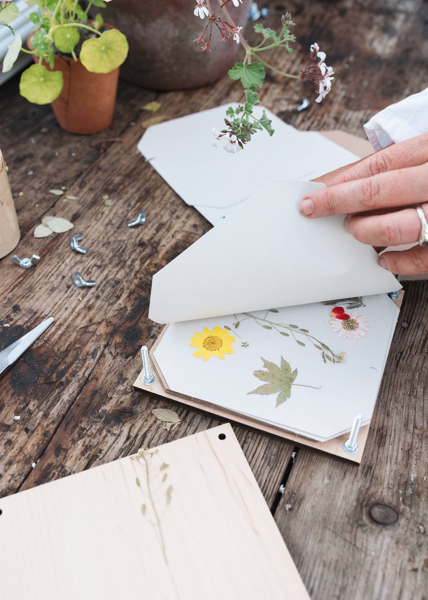Forget Me Not Flower Press - Joy Gift Shoppe