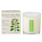 Fresh Picked Basil - Plant the Box Candle - 9oz. - Joy