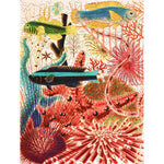 Great Barrier Reef Echinoderms and Fish (Large Piece) Puzzle - Joy