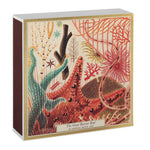Great Barrier Reef Matches - Joy