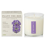Heath Lavender - Plant the Box Candle - 9oz. - Joy