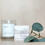 Hill Country Collective Candle - Aquifer - Joy