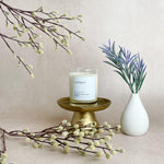 Hill Country Collective Candle - Ladybird - Joy