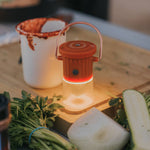 Hoodoo Light - Orange - Joy