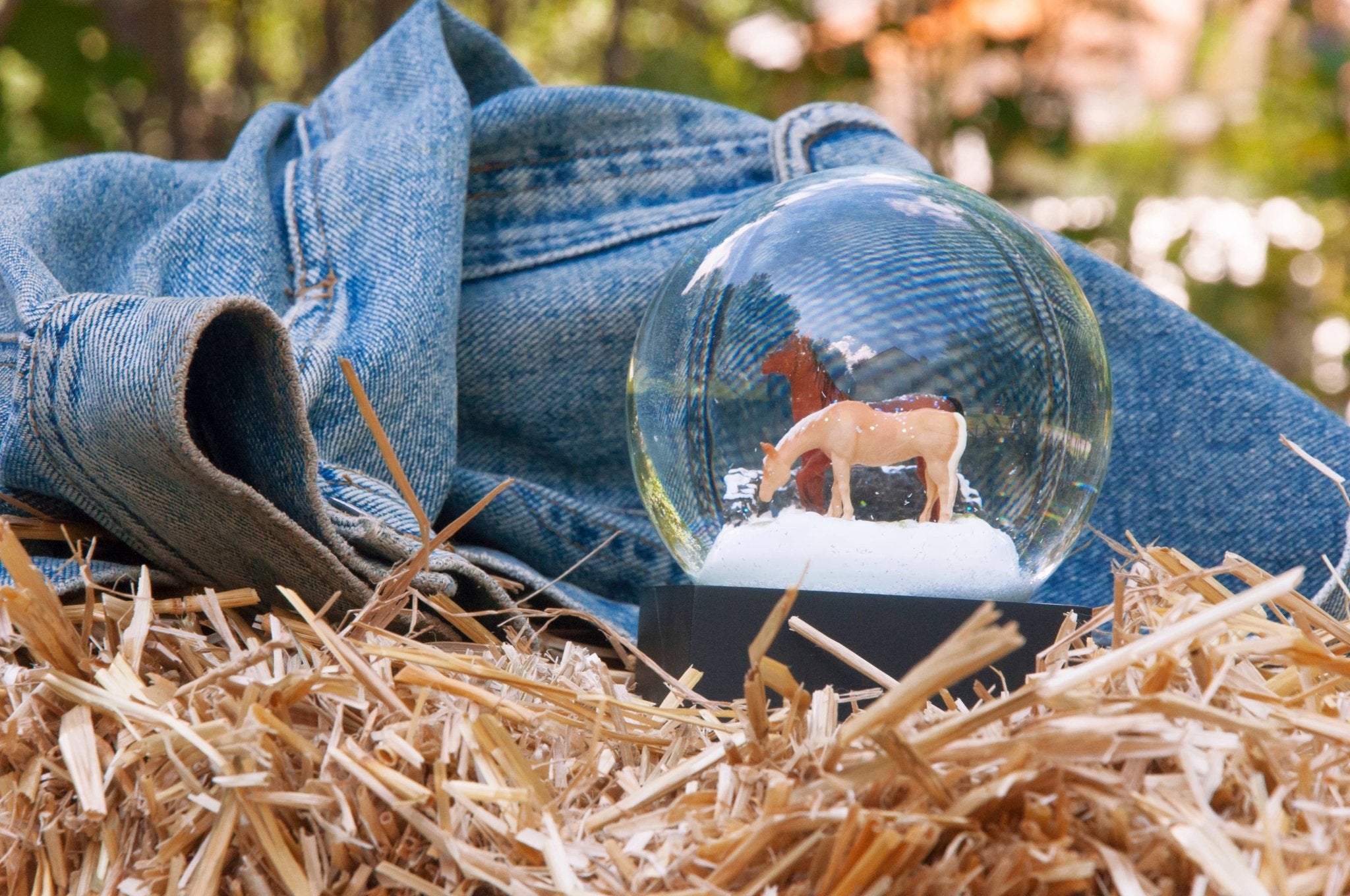 Horses Snow Globe - Joy Gift Shoppe