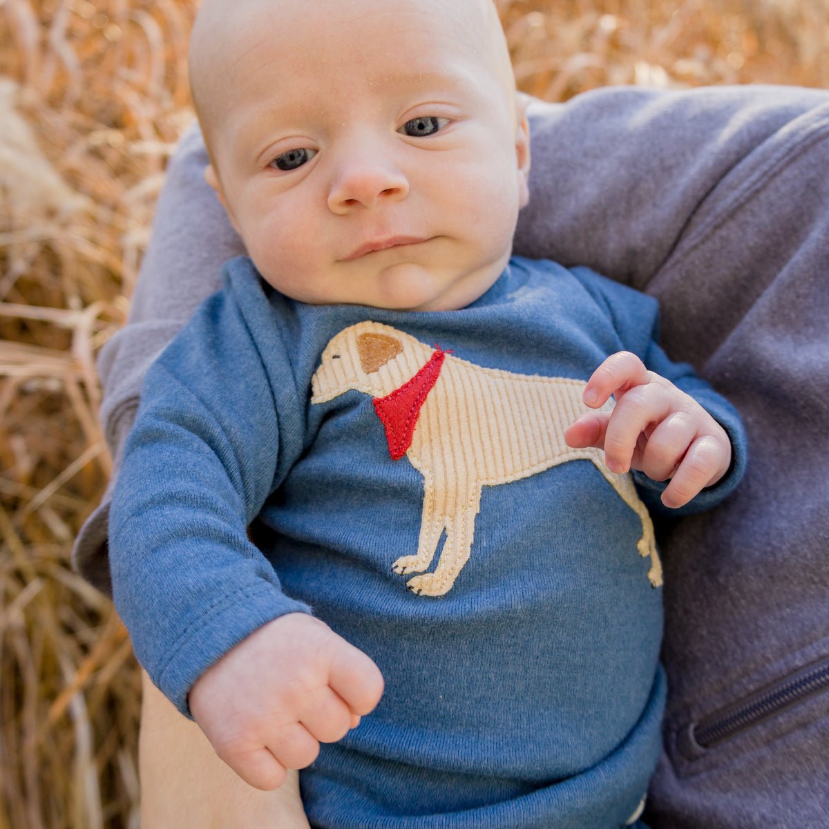 Lab Bandana Baby Rib 2pc Set - Joy