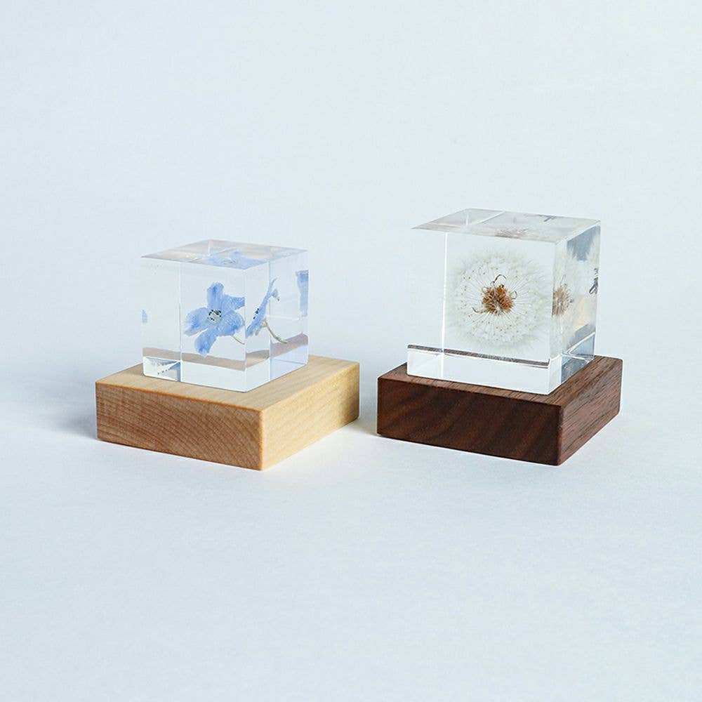 Light Base - Birch - Joy Gift Shoppe