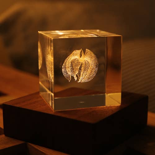 Light Base - Birch - Joy Gift Shoppe