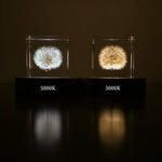 Light Base - Birch - Joy Gift Shoppe