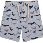 MAHALO Blue Whale Printed Shorts - Boy - Joy