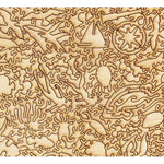Marine Wonders of the Great Barrier Coral Reef Puzzle - Joy
