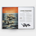 Mysteries of Marine Mammals: An Illustrated Guide to Whales, Dolphins, and Porpoises - Joy