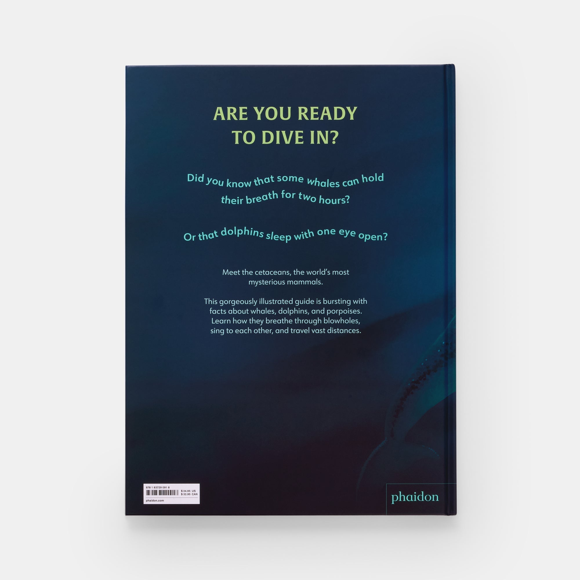 Mysteries of Marine Mammals: An Illustrated Guide to Whales, Dolphins, and Porpoises - Joy