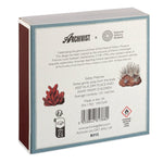 Natural History Museum Minerals | Square - Safety Matches - Joy