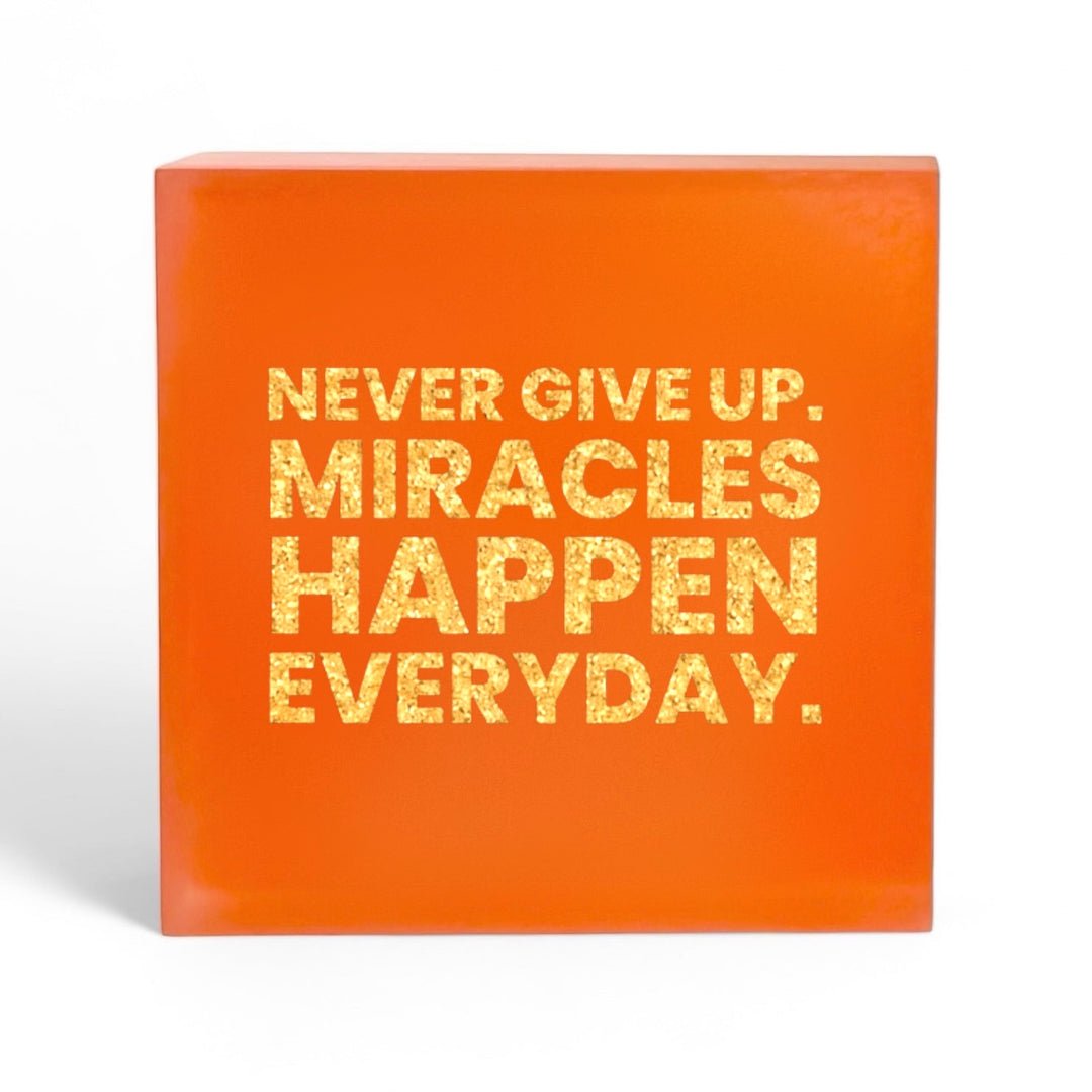 Never Give Up - Joy