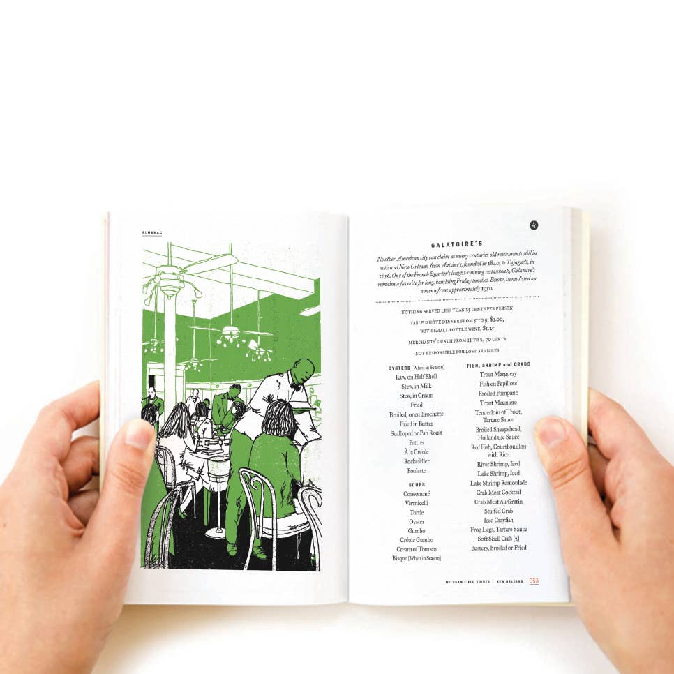 New Orleans Field Guide - Joy