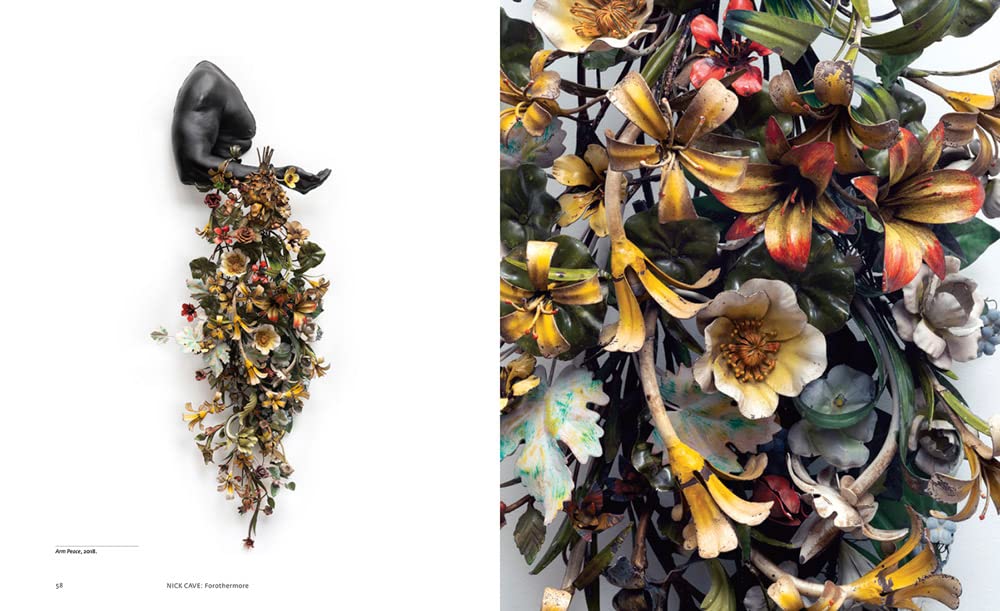 Nick Cave: Forothermore - Joy