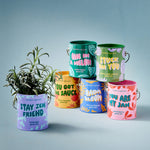 One in a Melon - Watermelon Grow Kit - Joy