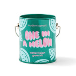 One in a Melon - Watermelon Grow Kit - Joy
